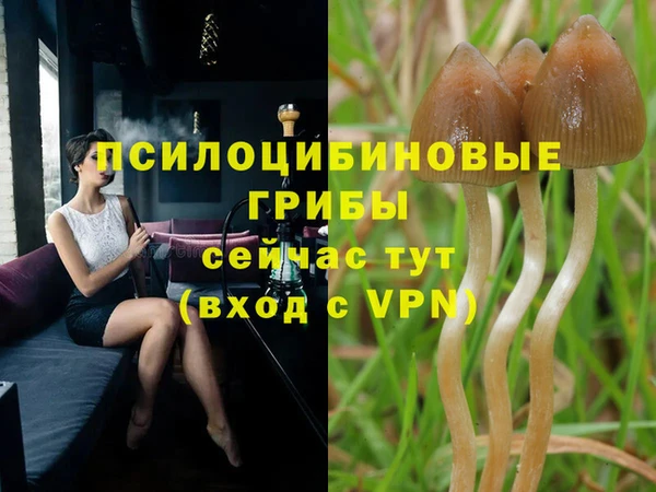 экстази Алексин